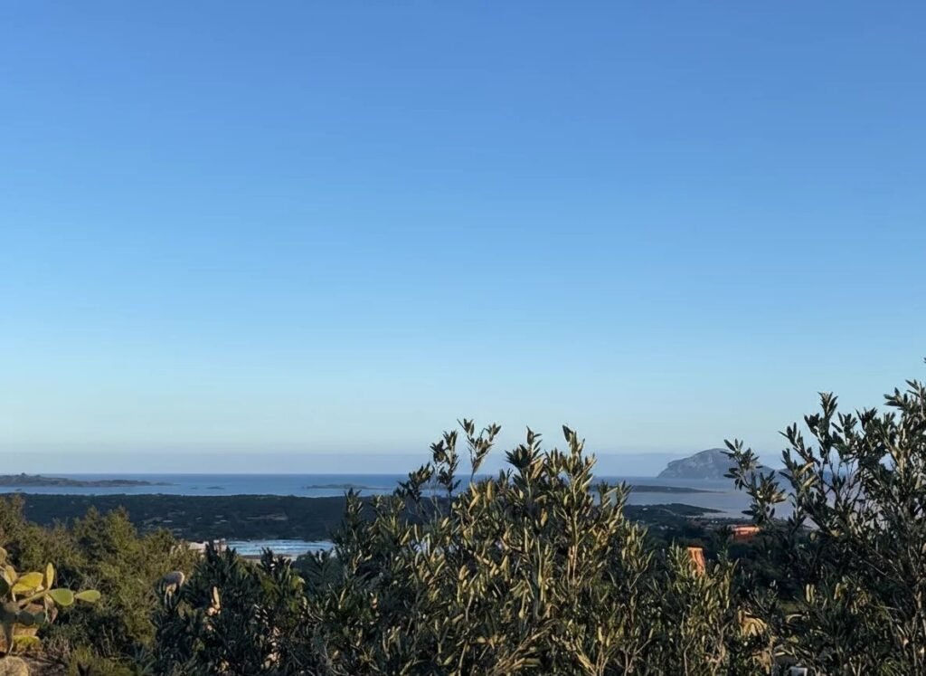 Terreno edificabile per straordinaria villa con progetto approvato image 2