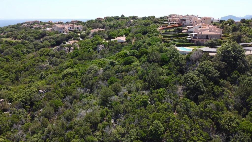 BUIDING PLOT WITH PROJECT FOR 2 VILLAS image 3