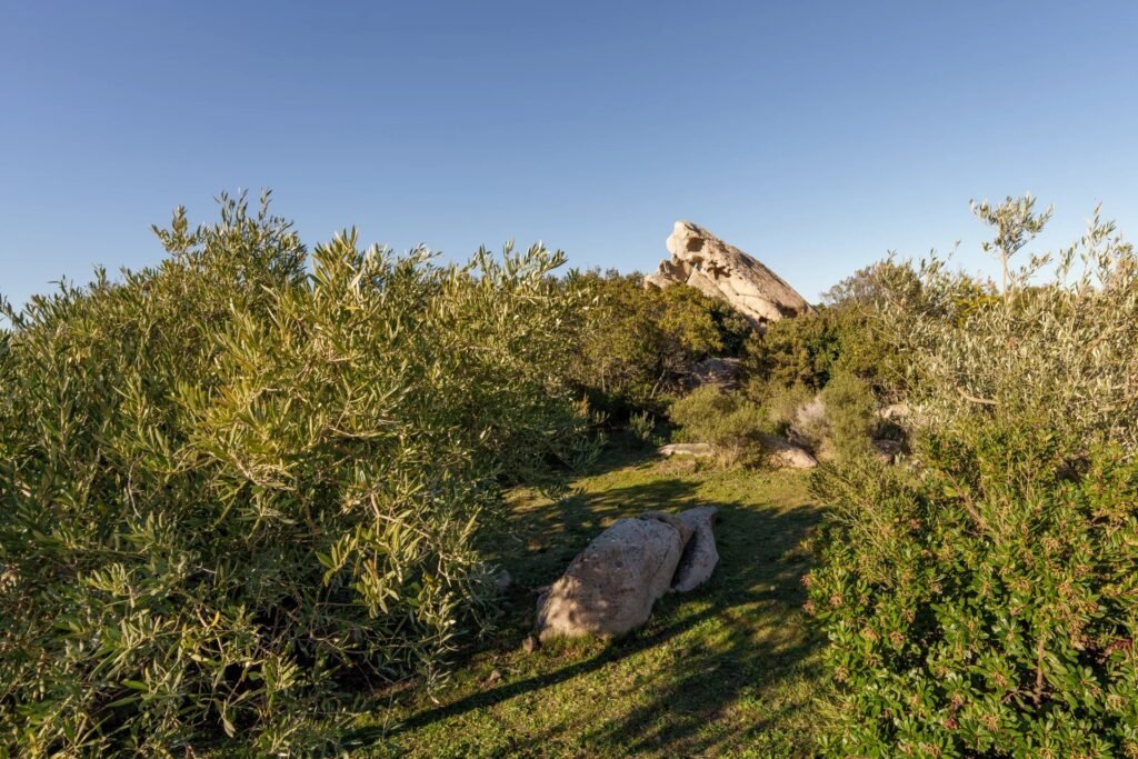 Villa mit Wahnsinnsblick image 10