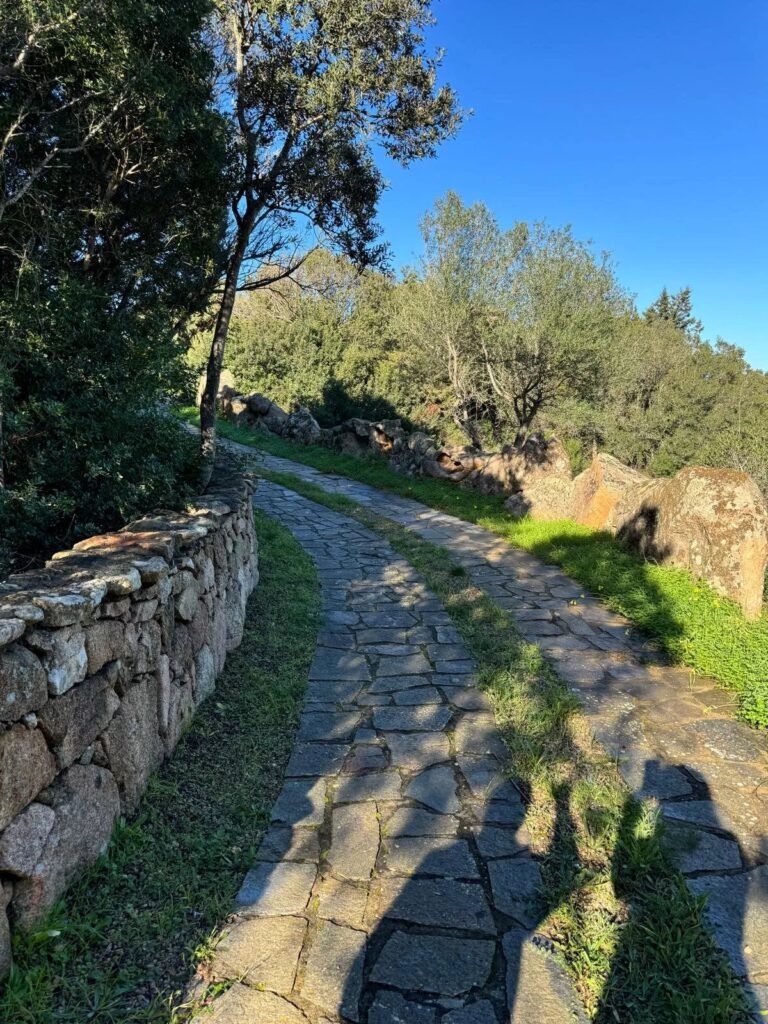 Stazzu La Silvaredda image 11