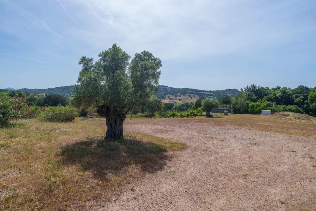 Affascinante Villa image 68