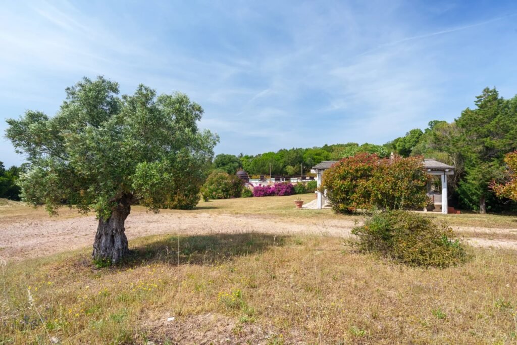 Affascinante Villa image 72