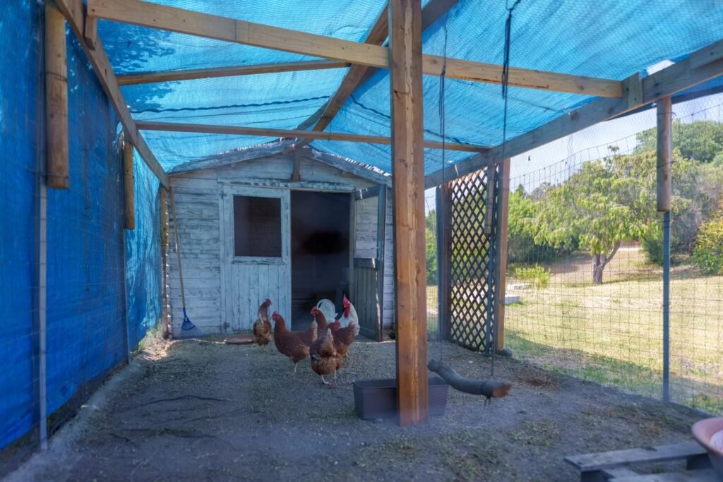 Affascinante Villa image 73