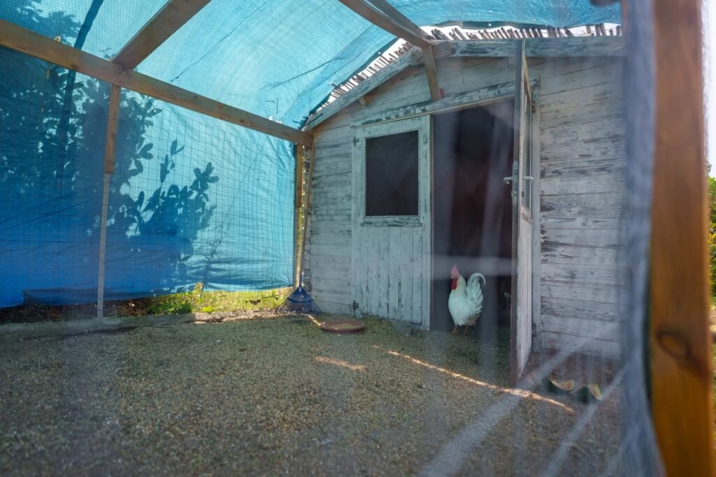 Affascinante Villa image 74