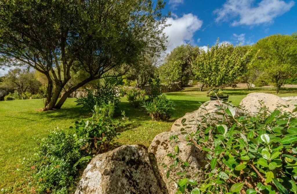 Affascinante Tenuta image 2