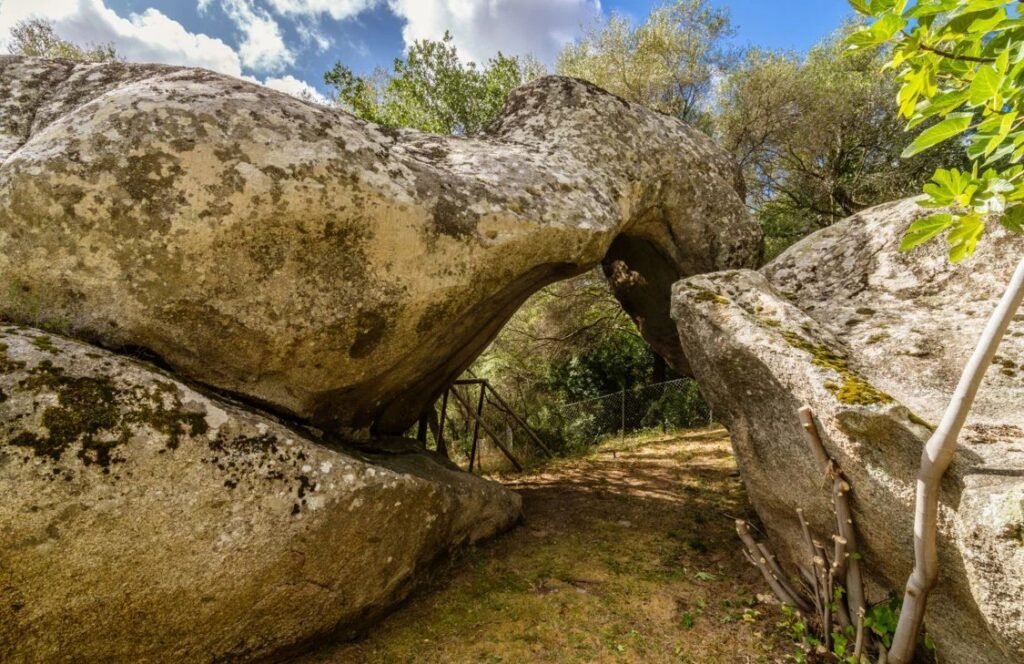 Affascinante Tenuta image 8