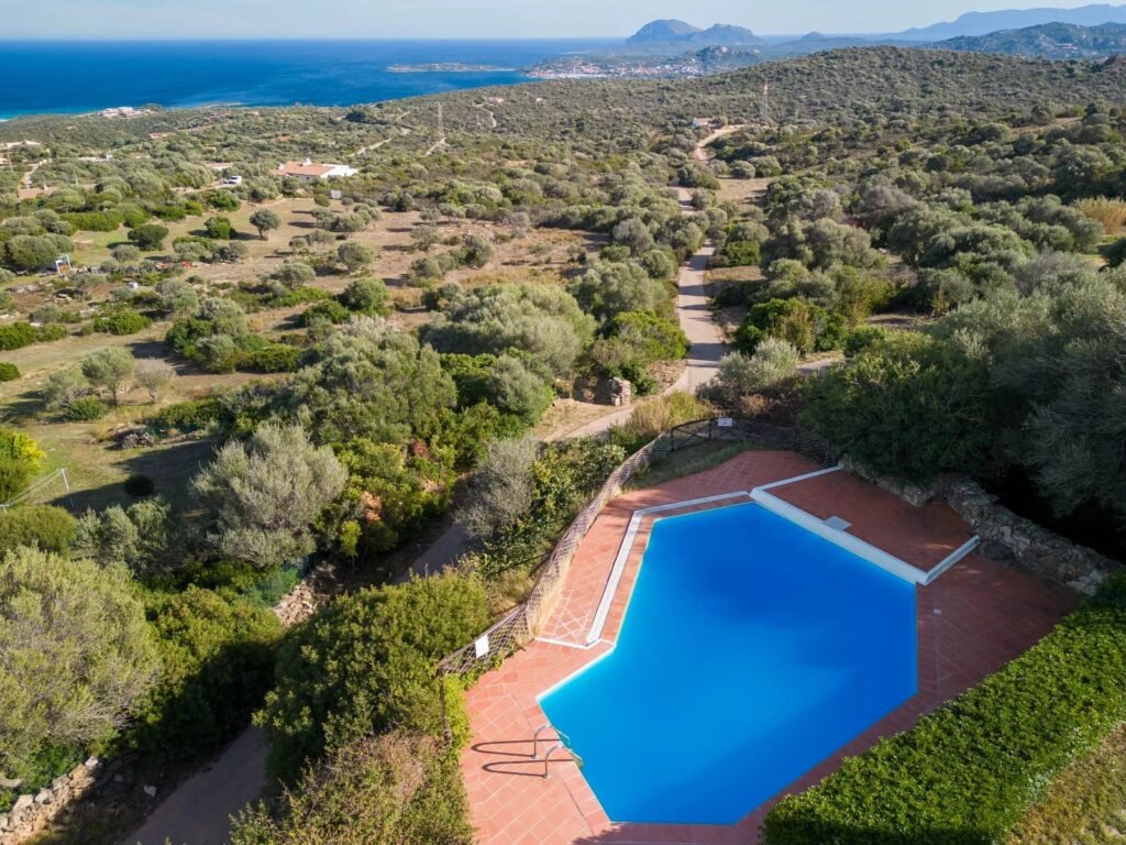 Wohnungen in San Pantaleo mit weitem Blick auf das Meer image 10