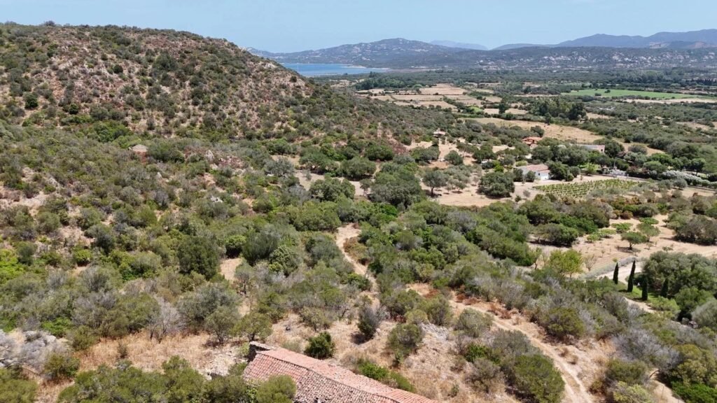 Esclusivo progetto di ristrutturazione di uno stazzo sardo tra le colline della Gallura image 8