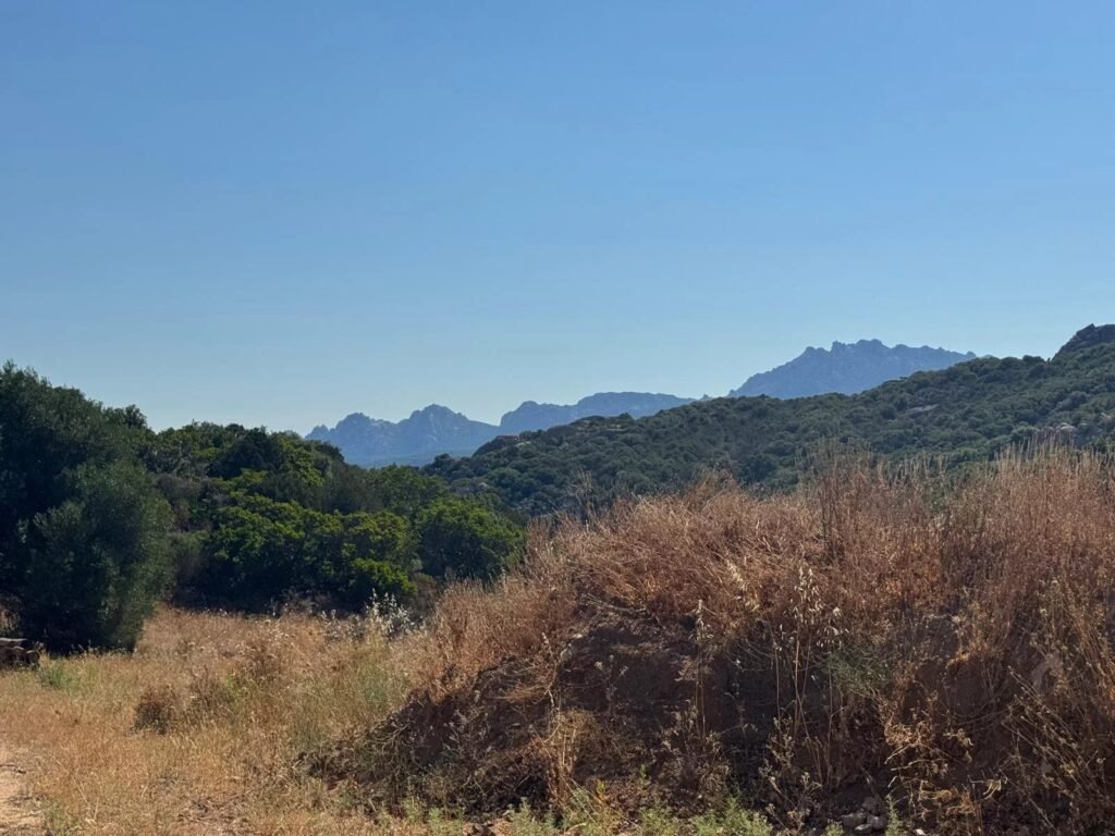 Nuovo progetto di Villa con dependance a San Giacomo – eleganza contemporanea tra le colline della Gallura image 14