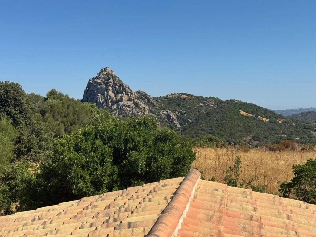 Progetto di nuova costruzione con vista mare a San Giacomo – villa moderna con dependance e panorama aperto sul golfo di cannigione image 17