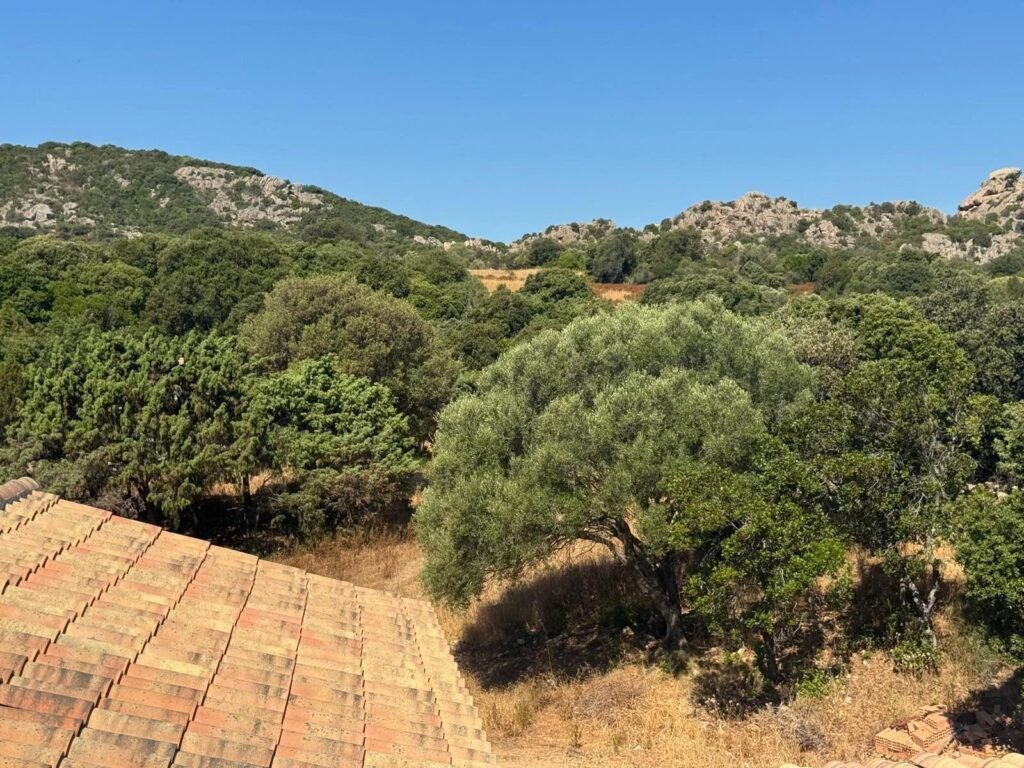 Progetto di nuova costruzione con vista mare a San Giacomo – villa moderna con dependance e panorama aperto sul golfo di cannigione image 18