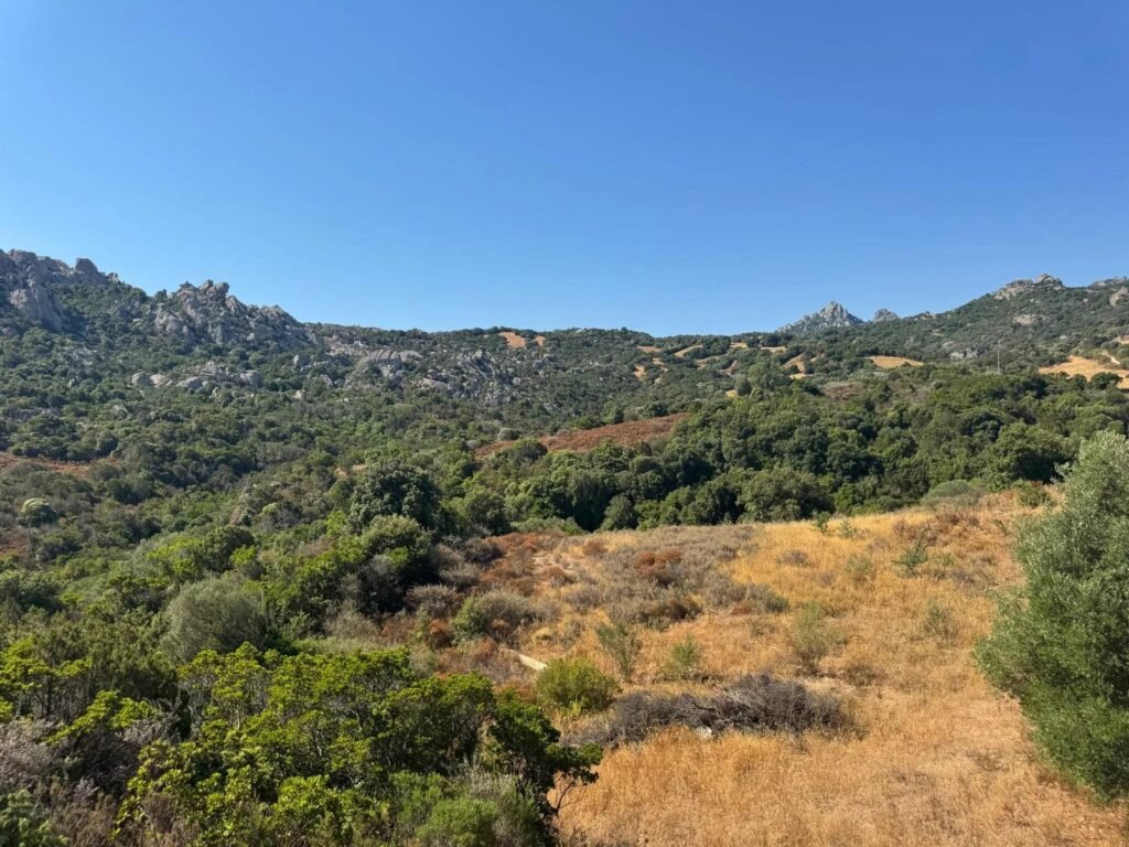 Progetto di nuova costruzione con vista mare a San Giacomo – villa moderna con dependance e panorama aperto sul golfo di cannigione image 20