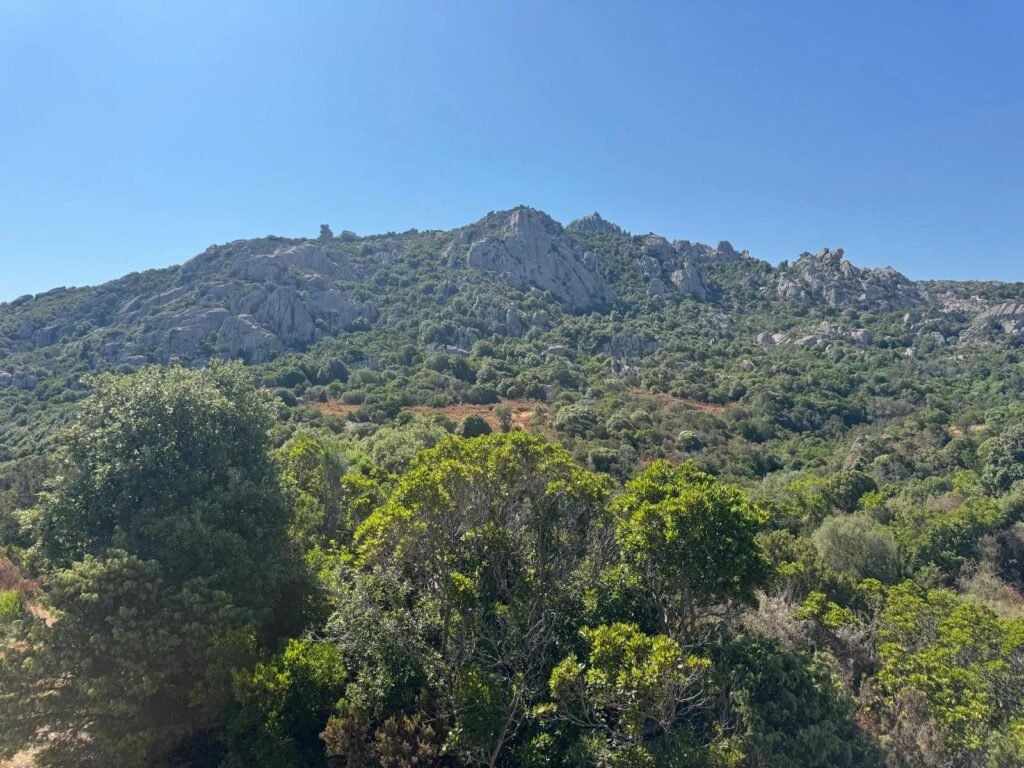 Progetto di nuova costruzione con vista mare a San Giacomo – villa moderna con dependance e panorama aperto sul golfo di cannigione image 21