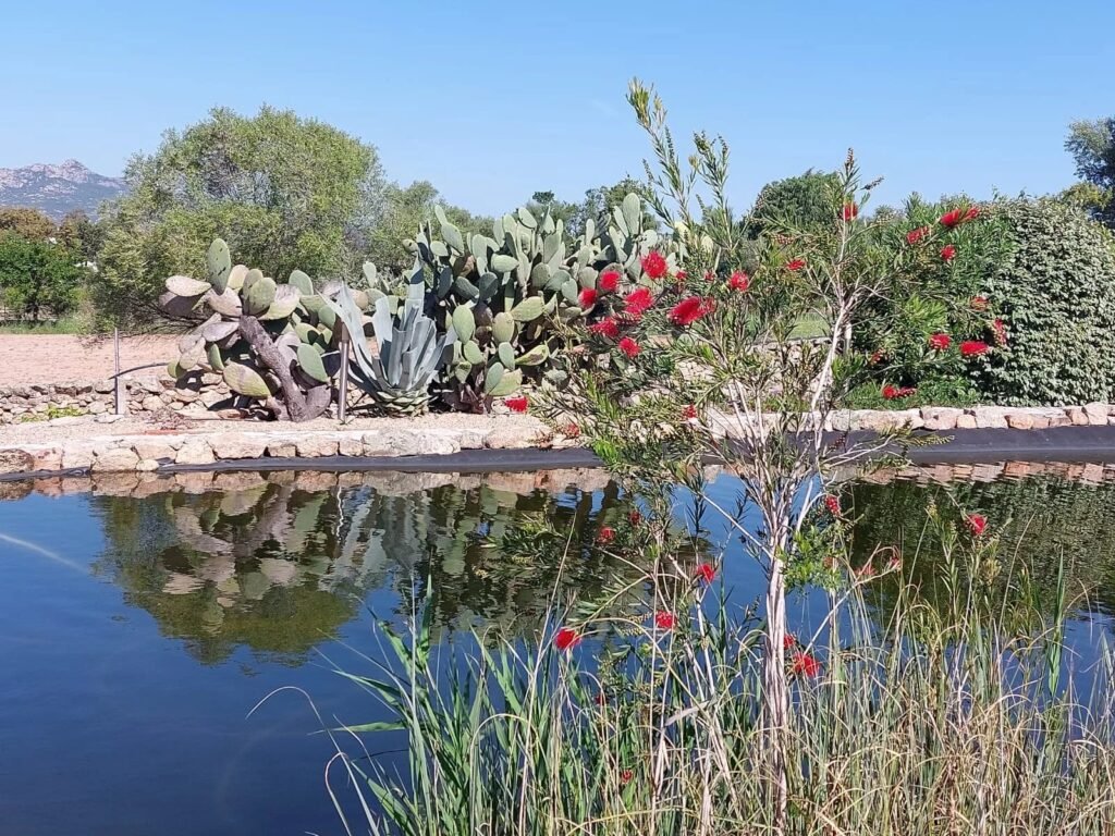 Affascinante Villa – circondata dalla natura tipica della Gallura image 5