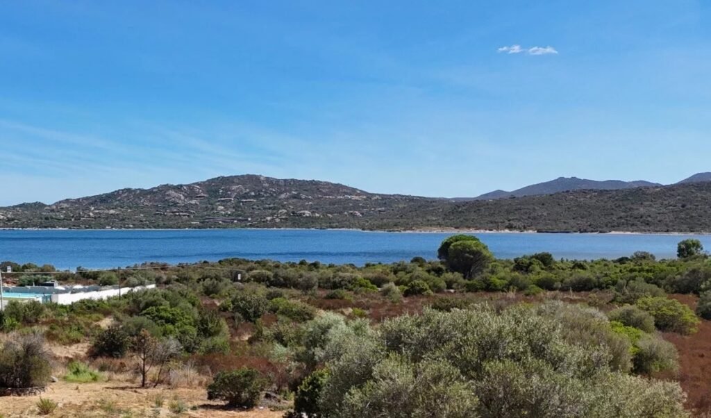 Dove il mare incontra il sogno – Progetto di villa a Cugnana image 2