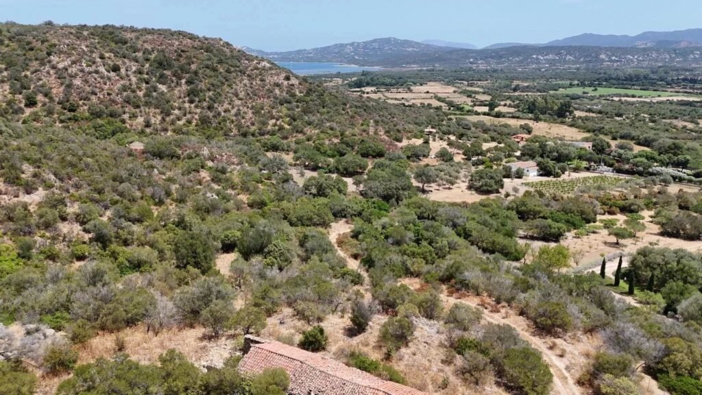 Stazzo Gallurese al grezzo – immerso tra le colline della Gallura image 4
