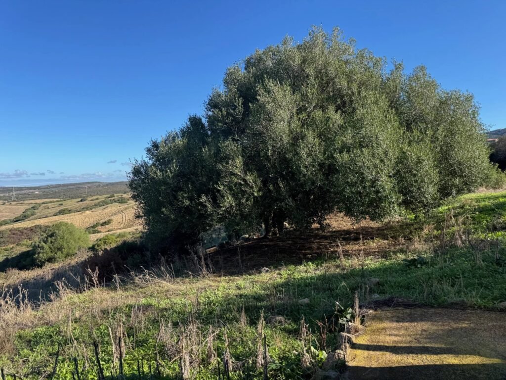 Affascinante ospitalità in un B&B image 8