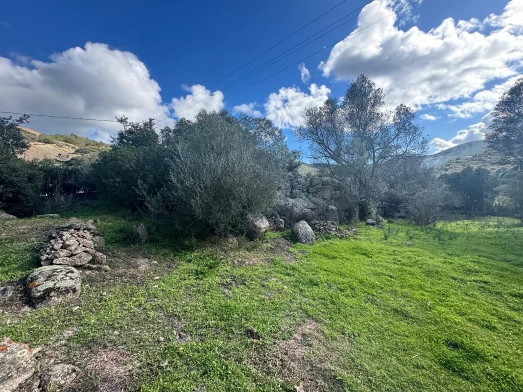 Tradizione e quiete – Stazzo in pietra nei pressi di San Pantaleo image 24