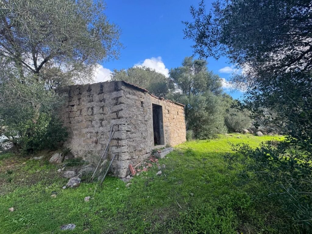 Tradizione e quiete – Stazzo in pietra nei pressi di San Pantaleo image 25