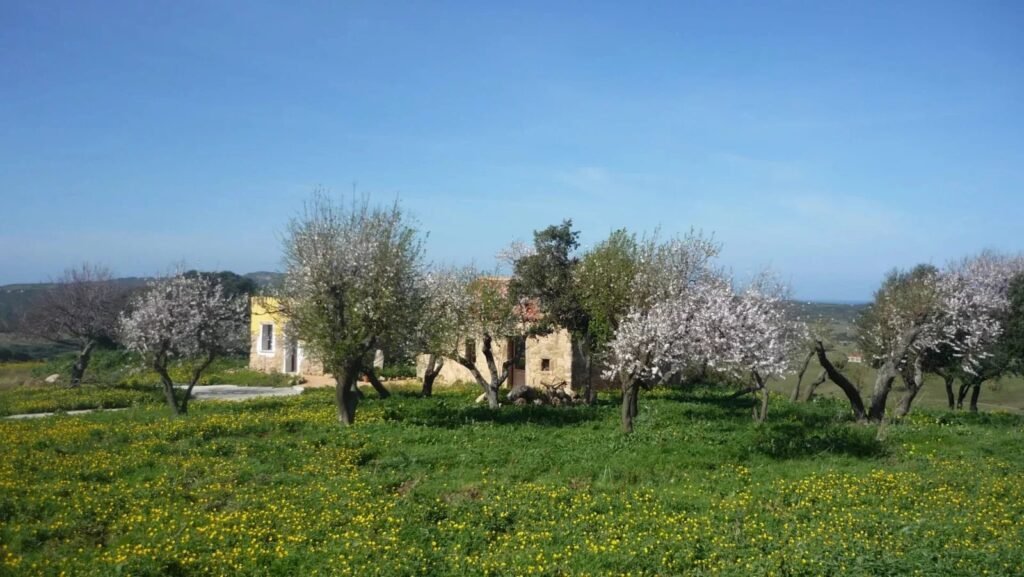 Einmaliges Anwesen mit Meerblick über Vignola Mare – B&B mit 12 Schlafzimmern, Stazzo und großem Ausbaupotenzial image 4
