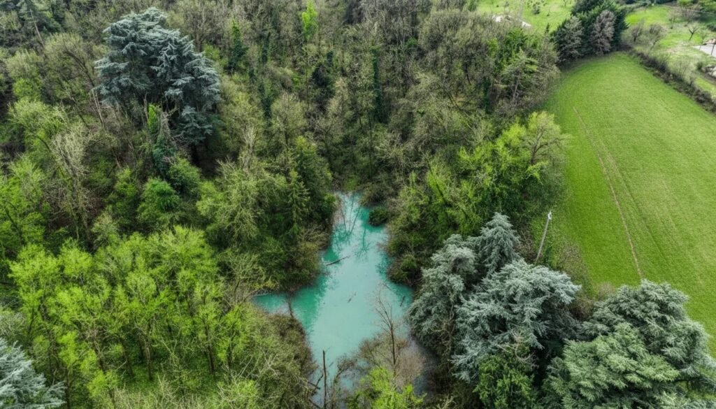 Charming Estate in the Hills of Parma – where nature, silence and timeless charm meet image 15