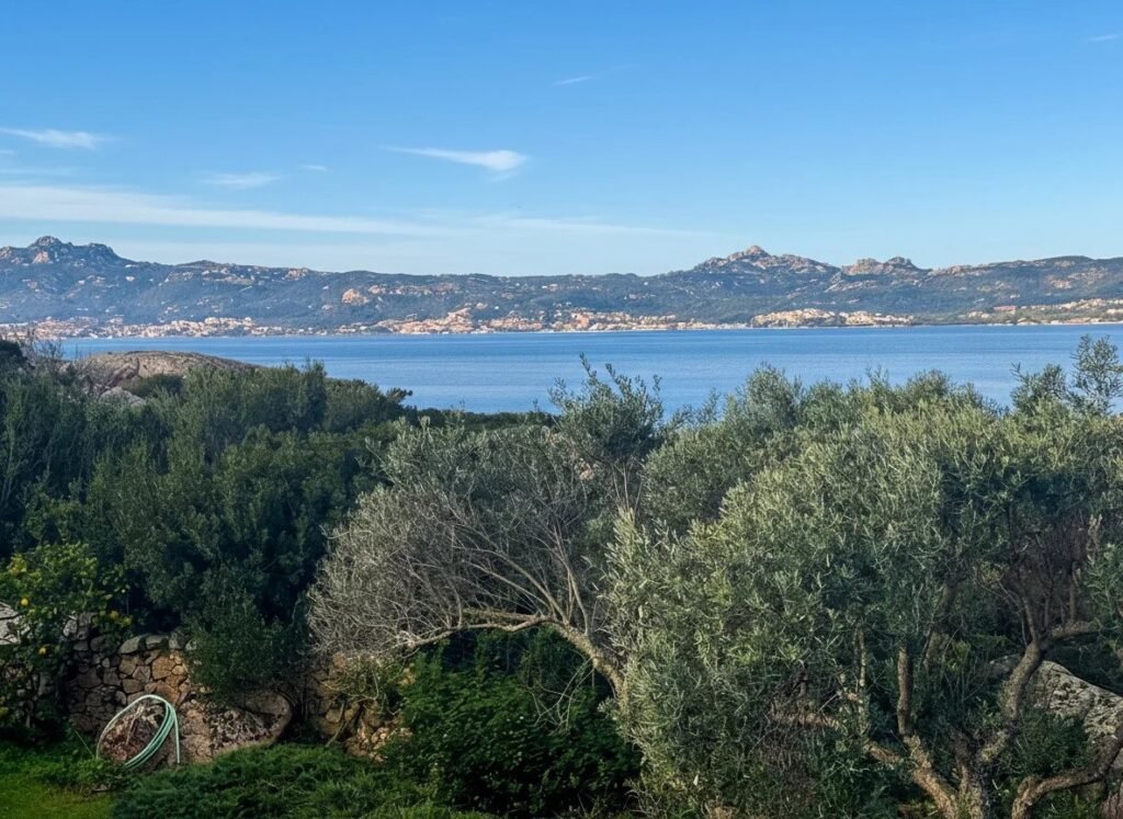 CREATE YOUR DREAM VILLA IN BAJA SARDINIA – RARE OPPORTUNITY IN A PRIME COASTAL LOCATION image 2