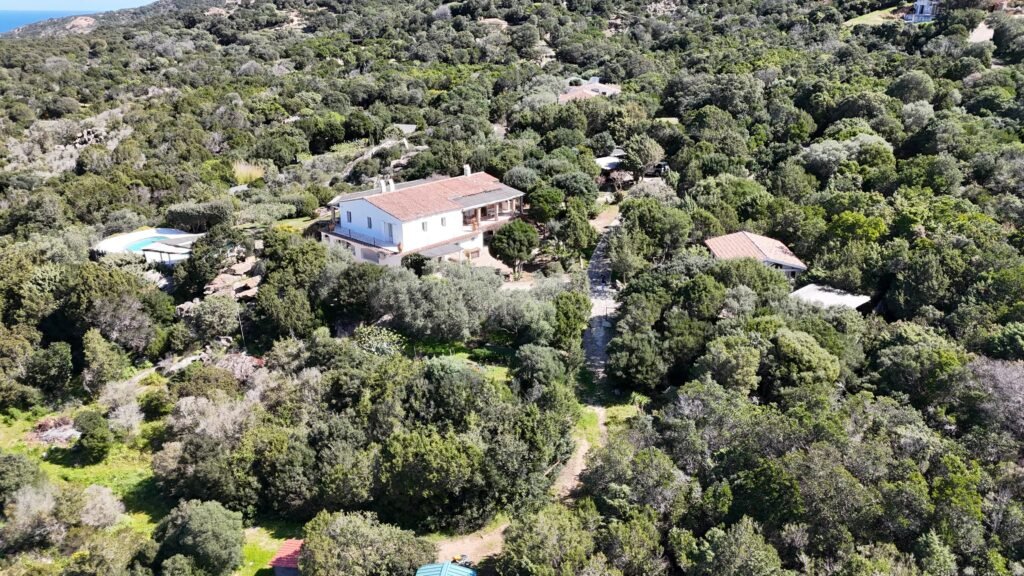 PANORAMIC VILLA WITH POOL | LISCIA DI VACCA – PORTO CERVO image 49
