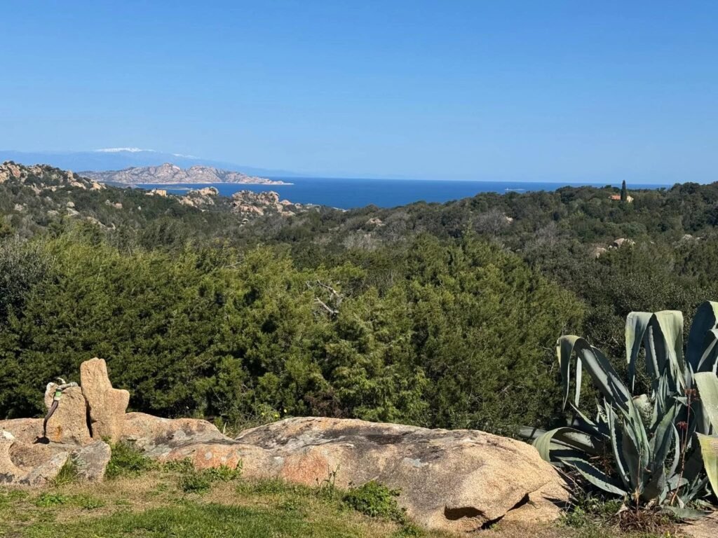 PANORAMIC VILLA WITH POOL | LISCIA DI VACCA – PORTO CERVO image 9