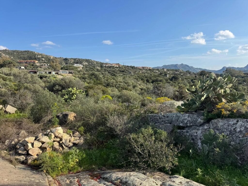 WHERE THE LIGHT OF THE SEA BECOMES YOUR HOME – EXCLUSIVE BUILDING PLOT WITH APPROVED VILLA PROJECT image 10