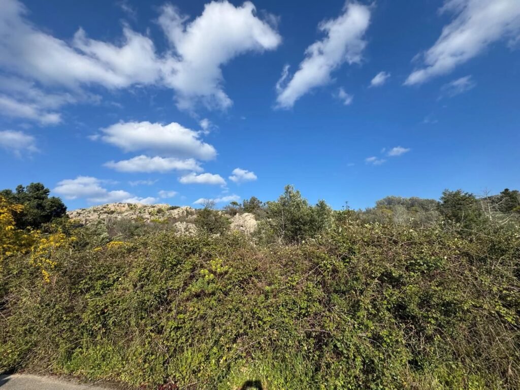 WHERE THE LIGHT OF THE SEA BECOMES YOUR HOME – EXCLUSIVE BUILDING PLOT WITH APPROVED VILLA PROJECT image 14