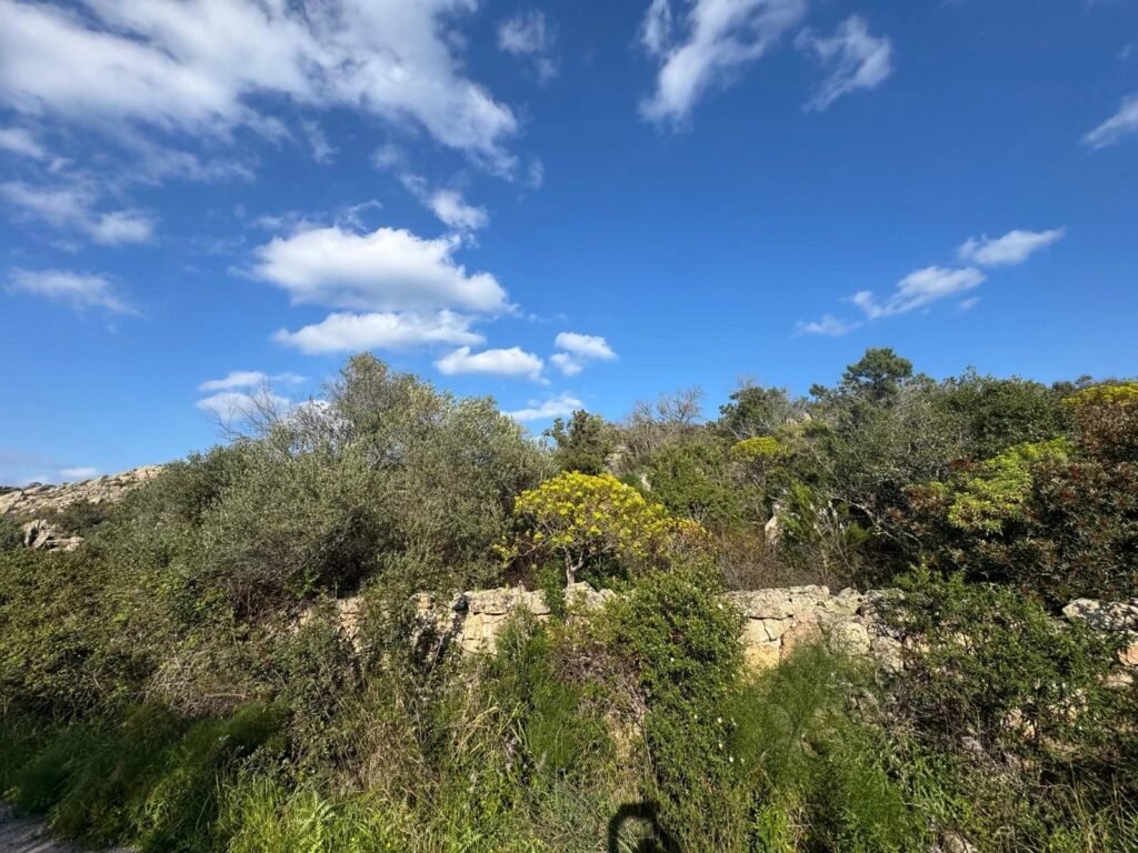 WHERE THE LIGHT OF THE SEA BECOMES YOUR HOME – EXCLUSIVE BUILDING PLOT WITH APPROVED VILLA PROJECT image 15