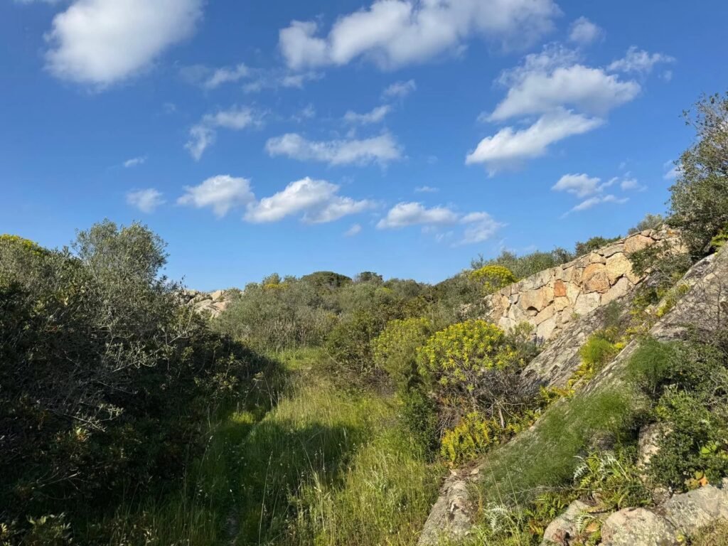 WHERE THE LIGHT OF THE SEA BECOMES YOUR HOME – EXCLUSIVE BUILDING PLOT WITH APPROVED VILLA PROJECT image 16