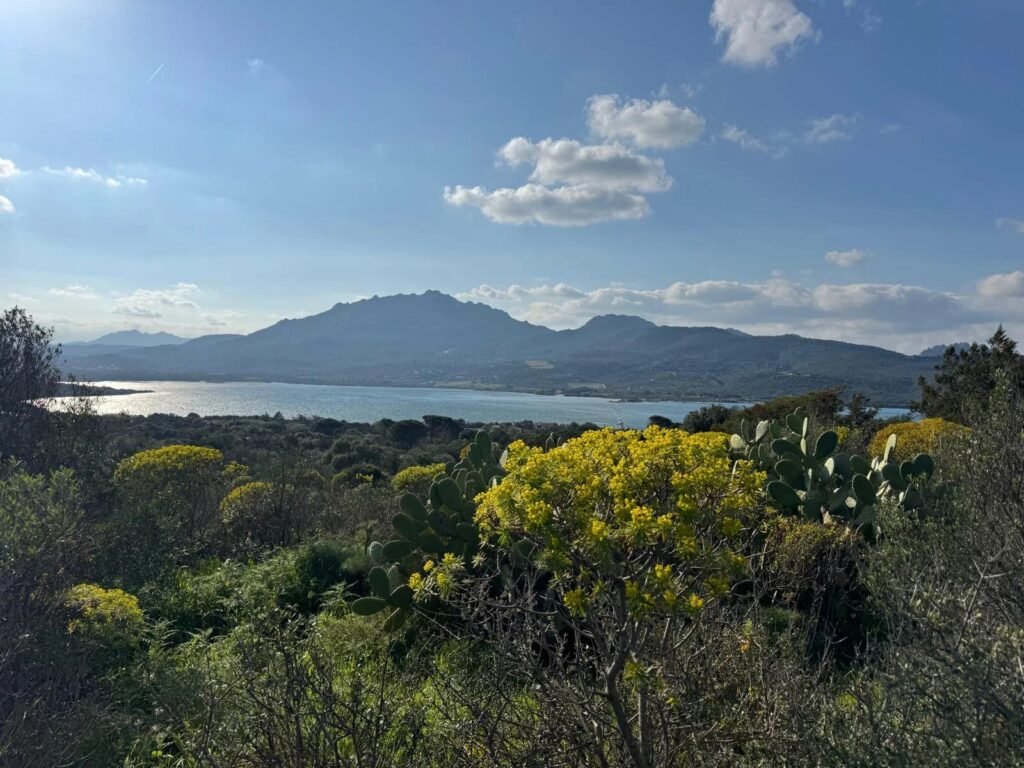 WHERE THE LIGHT OF THE SEA BECOMES YOUR HOME – EXCLUSIVE BUILDING PLOT WITH APPROVED VILLA PROJECT image 3