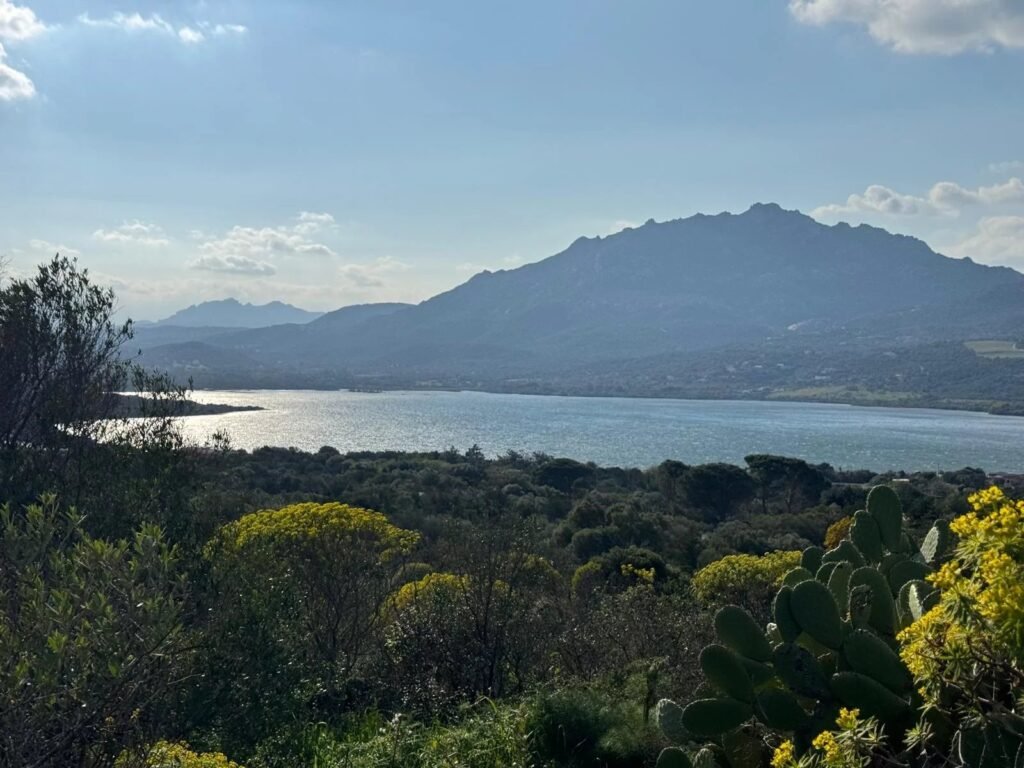 WHERE THE LIGHT OF THE SEA BECOMES YOUR HOME – EXCLUSIVE BUILDING PLOT WITH APPROVED VILLA PROJECT image 4