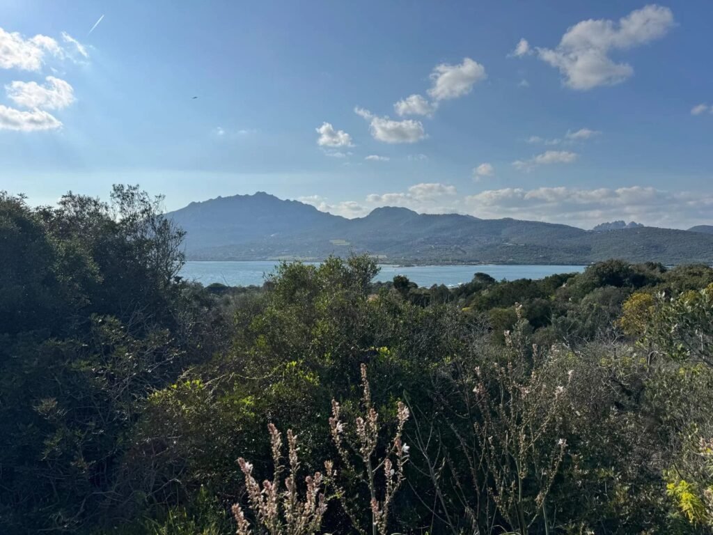 WHERE THE LIGHT OF THE SEA BECOMES YOUR HOME – EXCLUSIVE BUILDING PLOT WITH APPROVED VILLA PROJECT image 5