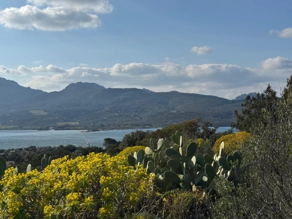 WHERE THE LIGHT OF THE SEA BECOMES YOUR HOME – EXCLUSIVE BUILDING PLOT WITH APPROVED VILLA PROJECT image 8