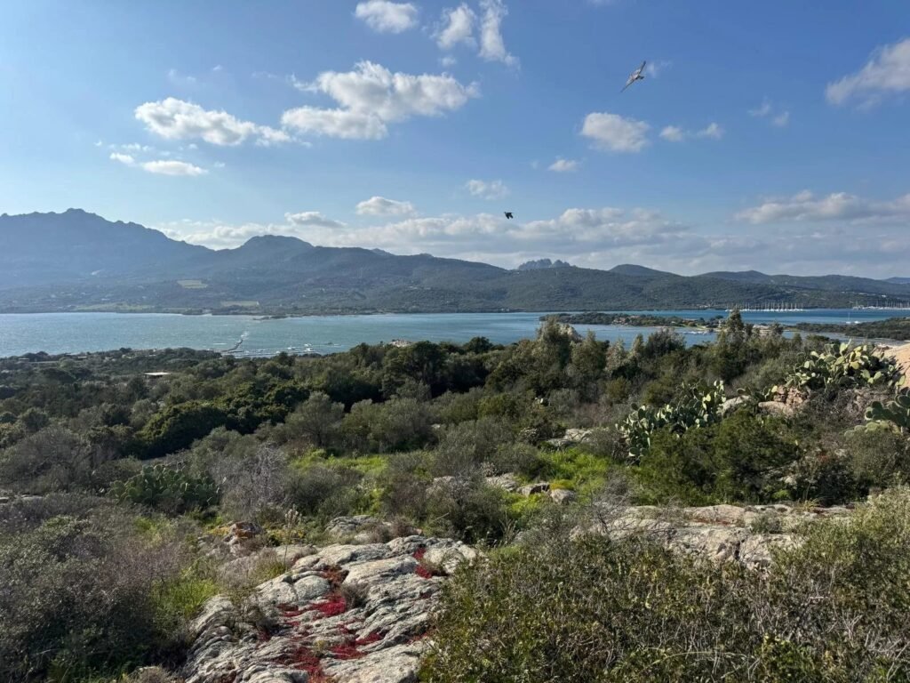 WHERE THE LIGHT OF THE SEA BECOMES YOUR HOME – EXCLUSIVE BUILDING PLOT WITH APPROVED VILLA PROJECT image 9