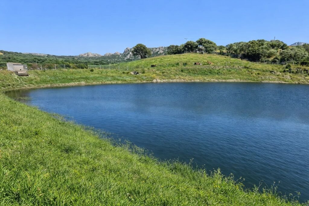 UNIQUE AGRICULTURAL PLOT WITH LAKE AND OLIVE GROVE IN GALLURA image 2