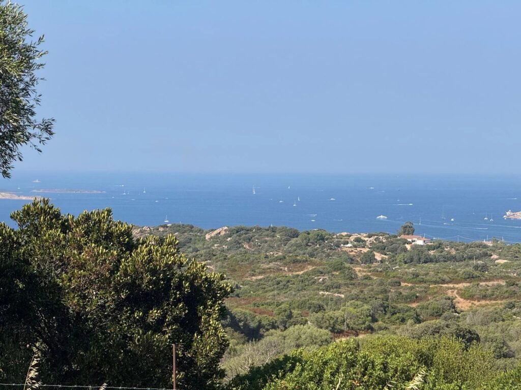 BUILDING PLOT WITH APPROVED PROJECT FOR VILLA WITH POOL AND SEA VIEW image 5