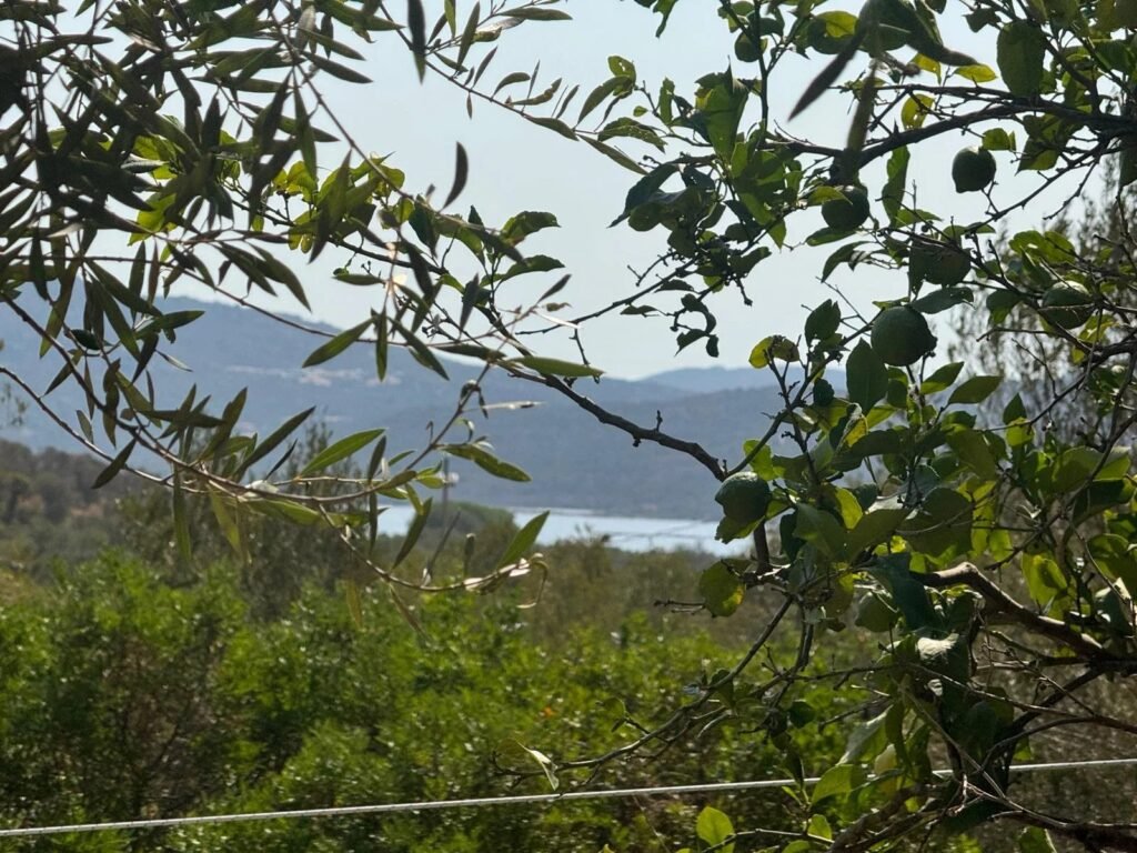 VILLA IN CUGNANA image 13