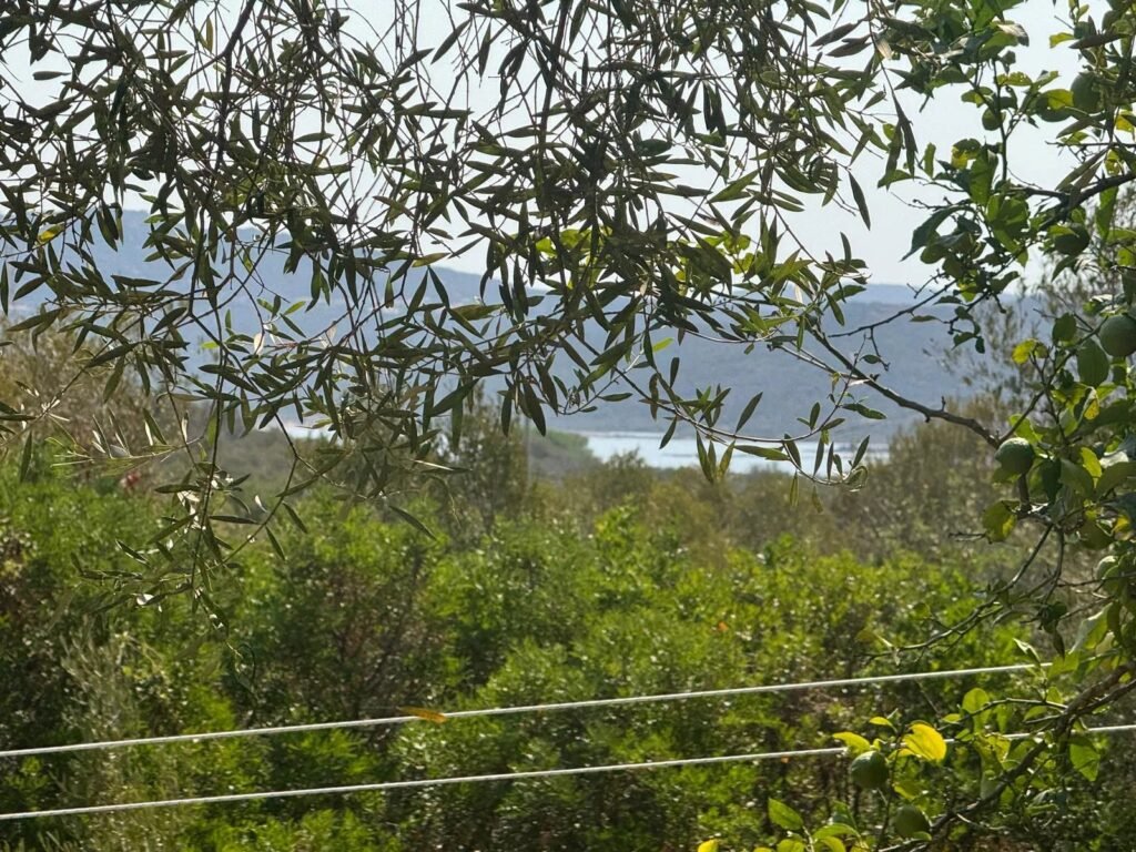 VILLA IN CUGNANA image 3
